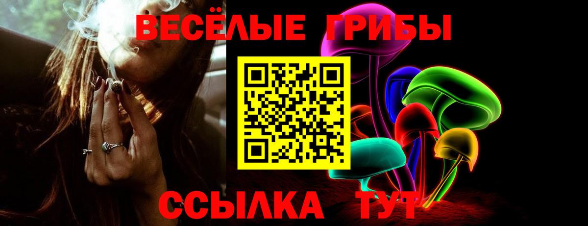 Псилоцибиновые грибы прущие грибы Белебей